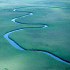 The Nqoga river/Okavango Delta/Botswana