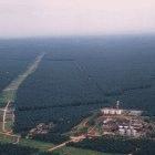 A palm oil plantation and oil mill in Malaysia