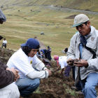 A Peruvian government agronomist studying potato
