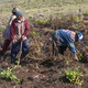 Campesinos peruanos 