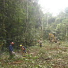 Petrobas road. Forest clearing in the Ecuadorian Amazon.