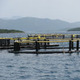 Plankton fish farm Plankton fish farm