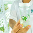 Plant biotech research from Flickr/CIAT by Neil Palmer