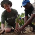 Planting magroves in Kenya