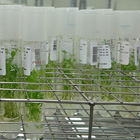 Investigación en el CIP 