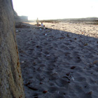 Playa de Punta Lavapié, Chile