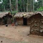 Pygmy houses in northern Republic of Congo