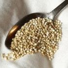 A spoonful of quinoa, one of the 'neglected' crops of the Andes
