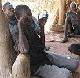 Across Africa, radio is a major source of news and information