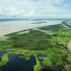 Rainforest, Amazonas,  Brazil
