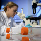 Scientist at work Scientist at work