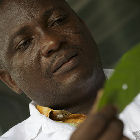 A researcher in Côte-d'Ivoire