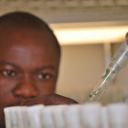 A researcher in a lab in Nigeria