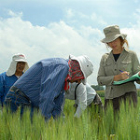 Farming esearchers 