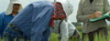Farming researchers  Flickr_CIMMYT