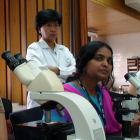 Rice scientists
