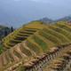 Rice terraces, China