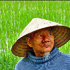 A rice farmer