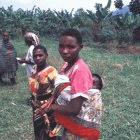 Waiting for ivermectin tablets in rural Uganda