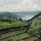 ESEA aims to protect east Africa's ecology