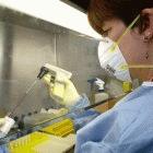 SARS samples being analysed in a laboratory
