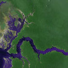 A satellite image of the Amazon rainforest