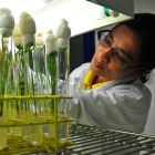 Scientist in the Philippines