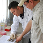 Scientists in Latin America