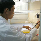 A scientist in a Vietnamese laboratory
