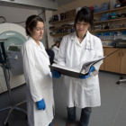 Scientists 