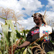 A seed producer in Kenya