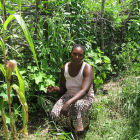 Senegalese farmer with jatropha