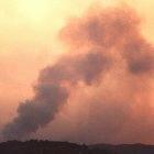 Developed countries must cut carbon emissions
