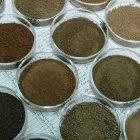 Soil samples ready for scanning