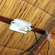 Solar-powered light