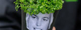 Sowing the seed into politicians FLickr
