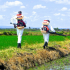 Spraying insecticide to kill mosquito larvae in Kenya