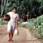 Woman collecting water in Sri Lanka