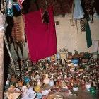 Traditional healer's hut