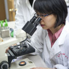 TB research at the Lab of Institutes of Biomedical Sciences of Fudan University, China