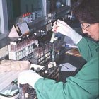 Lab technician