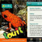 Aplicación Touit Costa Rica