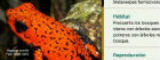 INBio