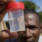 Eliminating mosquito vectors, Mozambique
