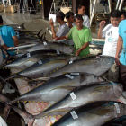 Tuna