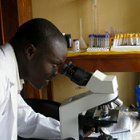 Ugandan malaria scientist