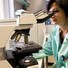 Vaccine development Vaccine development