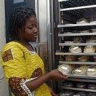 Rice samples at a WARDA research laboratory