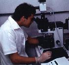 A Brazilian scientist