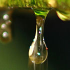 Water droplet